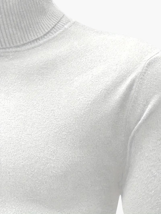 Robert | Modern Turtleneck Sweater